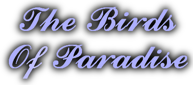 The Birds of Paradise Logo